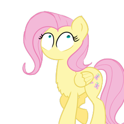 Size: 1000x1000 | Tagged: safe, artist:jaconok, fluttershy, pegasus, pony, magic duel, chest fluff, no mouth, no nose