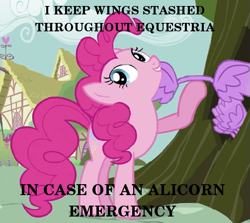 Size: 503x448 | Tagged: safe, edit, edited screencap, screencap, pinkie pie, alicorn, pony, it's about time, alicorn drama, ball emergency, emergency, wings