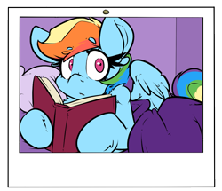 Size: 987x848 | Tagged: safe, artist:bbsartboutique, derpibooru import, rainbow dash, pegasus, pony, book, explicit source, looking at you, love collector, photo, reading, solo, surprised