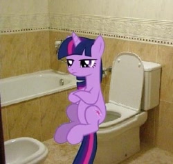 Size: 355x335 | Tagged: safe, derpibooru import, twilight sparkle, but why, irl, photo, ponies in real life, potty, potty time, toilet, toilet sparkle