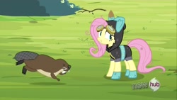 Size: 1920x1080 | Tagged: safe, screencap, fluttershy, beaver, pegasus, pony, female, mare, pink mane, yellow coat