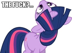 Size: 600x445 | Tagged: safe, derpibooru import, twilight sparkle, image macro, looking up, reaction image, text, wtf