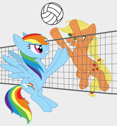 Size: 1072x1152 | Tagged: safe, artist:pixiebellecosplay, applejack, rainbow dash, earth pony, pegasus, pony, female, mare, volleyball