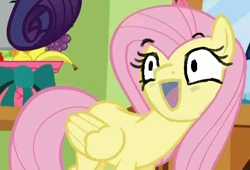 Size: 572x389 | Tagged: safe, fluttershy, pegasus, pony, faic, female, mare, pink mane, yellow coat