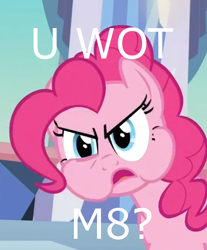 Size: 574x693 | Tagged: safe, pinkie pie, earth pony, pony, funny face, meme, reaction image, u wot m8