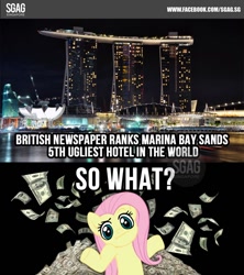 Size: 800x900 | Tagged: safe, fluttershy, pegasus, pony, image macro, obligatory pony, photo, singapore