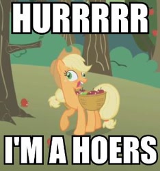 Size: 300x320 | Tagged: safe, applejack, earth pony, pony, derp, female, hoers, image macro, mare