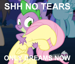 Size: 548x467 | Tagged: safe, fluttershy, spike, dragon, pegasus, pony, female, flutterspike, image macro, jimmies, male, shipping, straight