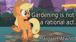 Size: 800x450 | Tagged: safe, artist:wisdomhoof, edit, edited screencap, screencap, applejack, earth pony, pony, sweet and elite, dirt, mud, muddy hooves, quote, solo, text