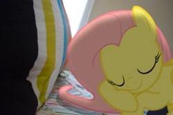 Size: 2463x1631 | Tagged: safe, fluttershy, pony, irl, photo, ponies in real life, sleeping, vector