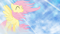 Size: 1920x1080 | Tagged: safe, artist:leonbrony, fluttershy, pegasus, pony, cloud, cloudy, text, vector, wallpaper, windswept mane