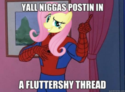 Size: 544x400 | Tagged: safe, fluttershy, pegasus, pony, 60s spider-man, image macro, meme, racial slur, spider-man