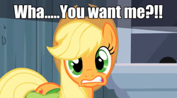 Size: 1280x710 | Tagged: safe, edit, edited screencap, screencap, applejack, earth pony, pony, caption, female, fourth wall, image macro, mare, meme, shocked, solo