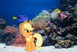 Size: 1200x801 | Tagged: safe, applejack, fish, pony, irl, photo, ponies in real life, underwater, vector