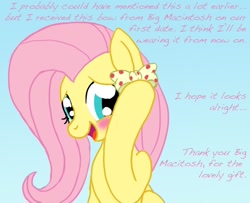 Size: 800x650 | Tagged: safe, artist:shyflier, fluttershy, pegasus, pony, bow, female, fluttermac, male, shipping, straight, tumblr