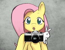 Size: 3300x2550 | Tagged: safe, artist:welcometodai, angel bunny, fluttershy, pegasus, pony, camera, cute, flcl, parody, samejima mamimi, shyabetes