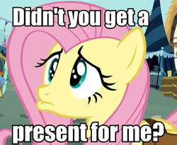 Size: 655x536 | Tagged: safe, fluttershy, pegasus, pony, female, image macro, mare, pouting, sad