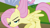 Size: 640x360 | Tagged: safe, fluttershy, pegasus, pony, faic, flutterscrunch, image macro, scrunchy face, solo