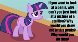 Size: 1100x600 | Tagged: safe, derpibooru import, twilight sparkle, caption, confused, meta, question, sad