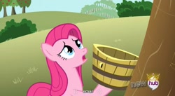 Size: 851x468 | Tagged: safe, screencap, pinkie pie, earth pony, pony, magical mystery cure, hub logo, pinkamena diane pie, youtube caption