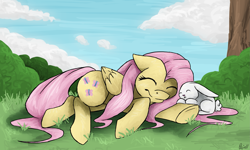 Size: 2835x1704 | Tagged: safe, artist:quiell, angel bunny, fluttershy, pegasus, pony, eyes closed, female, mare