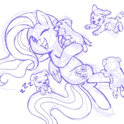 Size: 945x945 | Tagged: safe, artist:megasweet, fluttershy, dog, pegasus, pony, monochrome, puppy, sketch