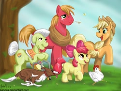 Size: 1024x768 | Tagged: safe, artist:sanora, apple bloom, applejack, big macintosh, granny smith, winona, butterfly, chicken, earth pony, pony, apple family, chase, family, male, pet, running, stallion, tongue out