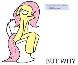 Size: 1053x882 | Tagged: artist needed, safe, fluttershy, pegasus, pony, 4chan, anatomically incorrect, artifact, but why, female, floppy ears, glare, incorrect leg anatomy, mare, meme origin, simple background, sitting, solo, toilet, unamused, wat, white background, why