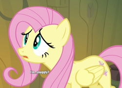 Size: 682x490 | Tagged: safe, fluttershy, pegasus, pony, female, image macro, mare, pink mane, yellow coat