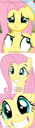 Size: 500x1811 | Tagged: safe, fluttershy, pegasus, pony, season 3, female, mare, pink mane, yellow coat