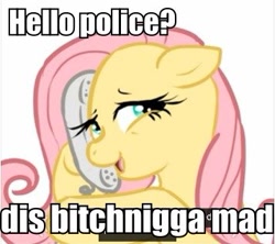 Size: 357x317 | Tagged: safe, fluttershy, pegasus, pony, female, mare, phone, reaction image, vulgar