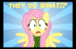 Size: 1997x1307 | Tagged: safe, artist:daringdashie, fluttershy, pegasus, pony, clothes, reaction image, scarf