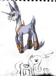 Size: 900x1213 | Tagged: safe, fluttershy, pegasus, pony, bunnymund, female, mare, ponified, rise of the guardians
