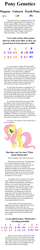 Size: 640x4000 | Tagged: safe, artist:cocoanutcakery, fluttershy, pegasus, pony, genetics, pony genetics, science, text