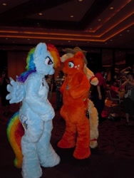 Size: 960x1280 | Tagged: safe, applejack, rainbow dash, human, cosplay, irl, irl human, photo