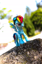 Size: 1280x1920 | Tagged: safe, artist:themomoko, derpibooru import, rainbow dash, goggles, guardians of harmony, irl, misadventures of the guardians, outdoors, photo, solo, toy