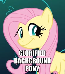 Size: 757x861 | Tagged: safe, fluttershy, pegasus, pony, abuse, female, flutterbuse, image macro, mare, op has a point, op is a cuck, smiling, text