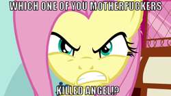 Size: 640x360 | Tagged: safe, angel bunny, fluttershy, pegasus, pony, angry, fluttermom, image macro, vector, vulgar