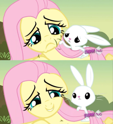 Size: 935x1026 | Tagged: safe, screencap, angel bunny, fluttershy, pegasus, pony, hurricane fluttershy, angelbetes, comforting, cute, hub logo, tsundere