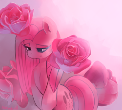 Size: 1082x981 | Tagged: safe, artist:mewball, pinkie pie, earth pony, pony, flower, pinkamena diane pie, rose, sad, solo