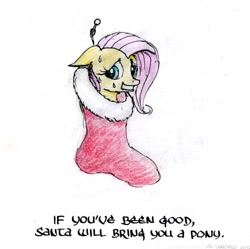 Size: 500x497 | Tagged: safe, artist:el-yeguero, fluttershy, pegasus, pony, bronybait, christmas, christmas stocking, embarrassed, sweat