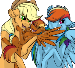 Size: 2000x1800 | Tagged: safe, artist:percy-mcmurphy, derpibooru import, applejack, rainbow dash, oc, oc:rainbow harvest, earth pony, pegasus, pony, appledash, family, female, lesbian, magical lesbian spawn, male, next generation, offspring, parent:applejack, parent:rainbow dash, parents:appledash, shipping