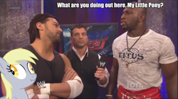 Size: 1440x808 | Tagged: safe, derpy hooves, pegasus, pony, female, justin gabriel, mare, matt striker, titus o'neil, wwe