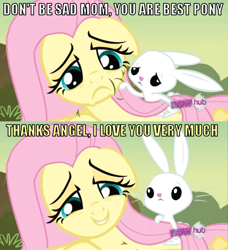 Size: 634x695 | Tagged: safe, angel bunny, fluttershy, pegasus, pony, female, fluttermom, image macro, mare