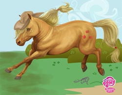 Size: 1273x1000 | Tagged: safe, artist:shottsy85, applejack, earth pony, horse, pony, realistic, running, solo