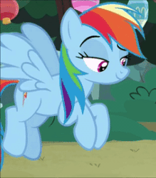 Size: 236x270 | Tagged: safe, derpibooru import, screencap, rainbow dash, pegasus, pony, campfire tales, amused, animated, blinking, cropped, female, flapping, gif, lidded eyes, looking at someone, mare, multicolored mane, perfect loop, raised eyebrow, smiling, smirk, solo