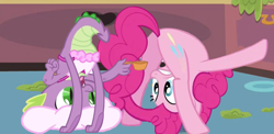 Size: 678x332 | Tagged: safe, edit, screencap, pinkie pie, spike, dragon, earth pony, pony, apron, clothes, female, gritted teeth, male, naked apron, out of context, pinkiespike, plot, shipping, straight, upside down, wat, wide eyes