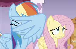 Size: 1135x737 | Tagged: safe, derpibooru import, screencap, fluttershy, rainbow dash, pegasus, pony, it isn't the mane thing about you, cropped, discovery family logo, facewing