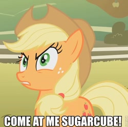 Size: 592x587 | Tagged: safe, applejack, earth pony, pony, angry, come at me bro, image macro, meme, reaction image