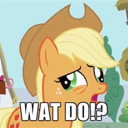 Size: 280x280 | Tagged: safe, applejack, earth pony, pony, meme, reaction image, solo, what do